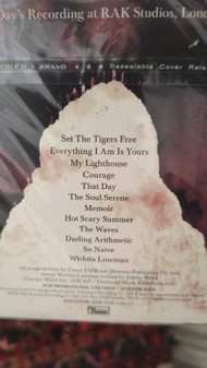 CD Villagers: Where Have You Been All My Life?