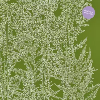 Ricardo Villalobos: Alcachofa