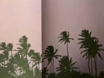 LP Vincent Delerm: Panorama