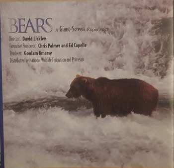 CD Violaine Corradi: Bears