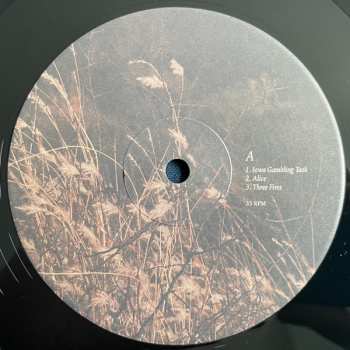 LP Virga: Eremocene LTD