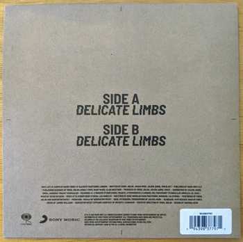 SP Serpentwithfeet: Delicate Limbs