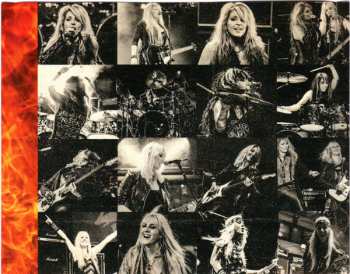 CD Vixen: Live Fire