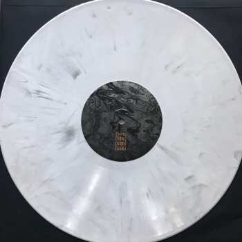 LP Vladislav Delay: 500-Push-Up LTD | CLR