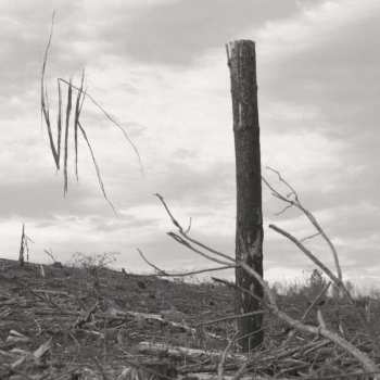 LP Vlk: Solastalgia I