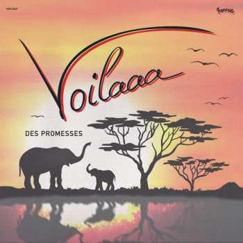 Album Voilaaa: Des Promesses