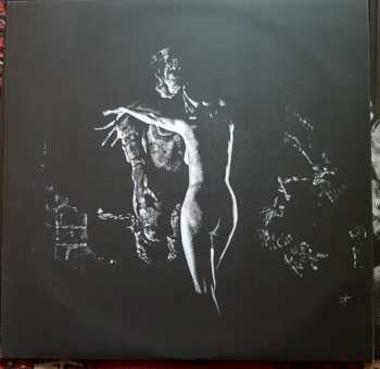 LP/CD Vortex: Häxan LTD