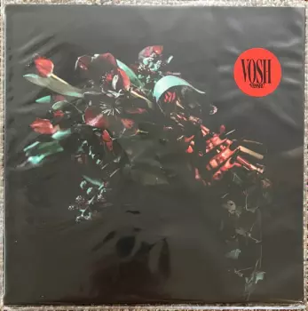 Vosh: Vessel