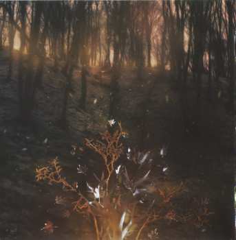 CD Wallachia: Shunya