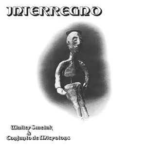 Walter Smetak: Interregno