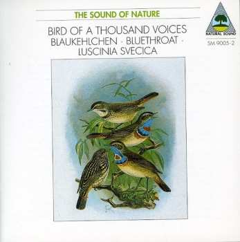 Album Walter Tilgner: Bird Of A Thousand Voices • Blaukehlchen • Bluethroat • Luscinia Svecica