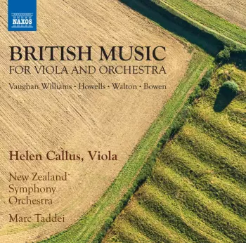 Viola Concerto In A Minor / Suite for Viola And Orchestra / Elegy / Viola Concerto in C Minor