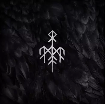 Kvitravn