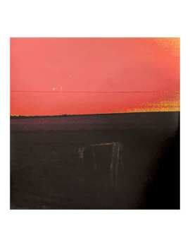 LP Waveform: Antarctica CLR | LTD