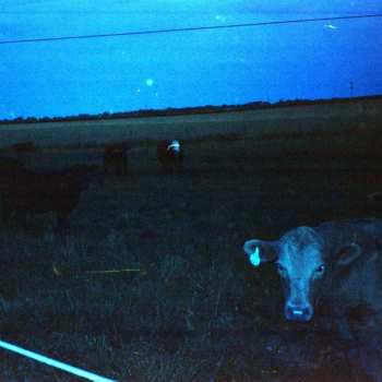 LP Waveform: Antarctica CLR | LTD