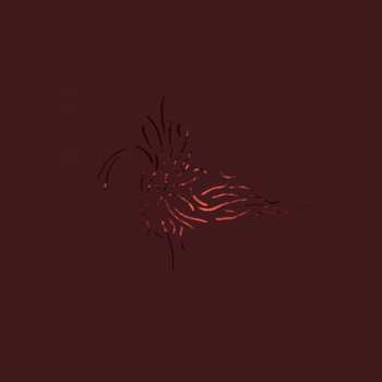 Album We Like We: Next To The Entire All