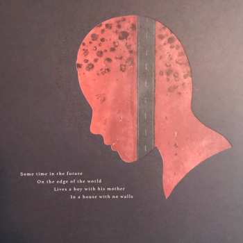 2LP We Lost The Sea: Triumph & Disaster LTD | CLR