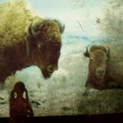 LP/CD Weinland: Breaks In The Sun LTD