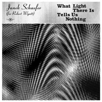 Janek Schaefer: What Light There Is Tells Us Nothing