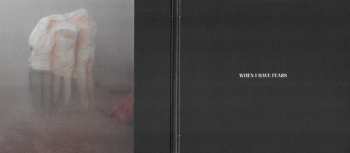 CD The Murder Capital: When I Have Fears