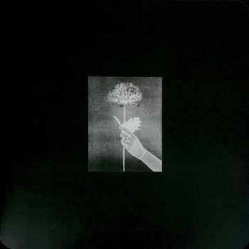 LP White Flowers: Day By Day LTD | CLR