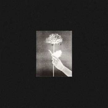CD White Flowers: Day By Day