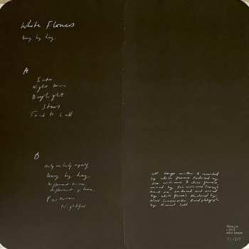 LP White Flowers: Day By Day LTD | CLR