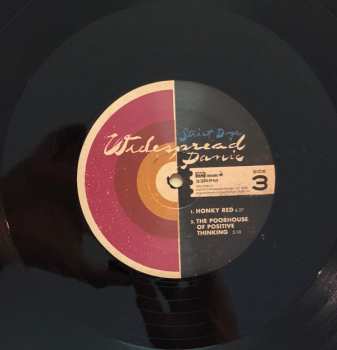 2LP Widespread Panic: Street Dogs