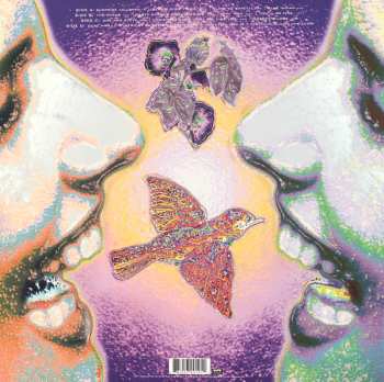 2LP Widespread Panic: 'Til The Medicine Takes LTD
