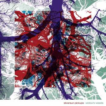 CD Silversun Pickups: Widow's Weeds