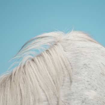 CD Widowspeak: All Yours