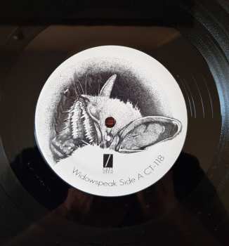 LP Widowspeak: Widowspeak