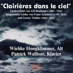 Wiebke Hoogklimmer: Clairières dans le ciel