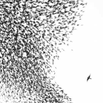 2LP Wilco: Sky Blue Sky