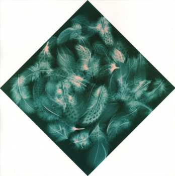 LP Wild Beasts: Smother