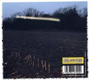 CD Will Varley: The Hole Around My Head