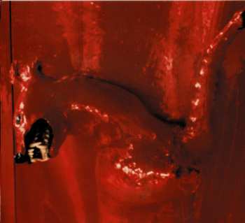 CD William Basinski: A Red Score In Tile