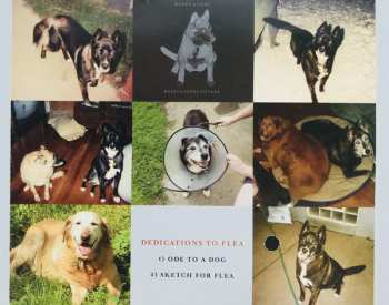 2CD Windy & Carl: The Dream House / Dedications To Flea
