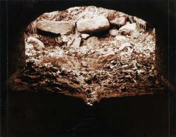 CD Windymills: Big Mean Reality