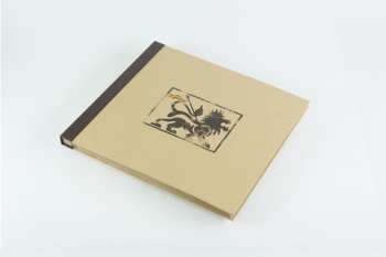 4LP/Doos Wingless Angels: Wingless Angels (Volumes I & II) DLX | LTD | CLR