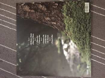 2LP Winterfylleth: The Divination Of Antiquity LTD | CLR