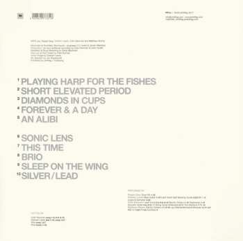 LP Wire: Silver / Lead