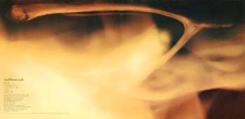 CD Wishbone Ash: Wishbone Ash