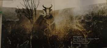 LP Witchskull: Coven’s Will LTD