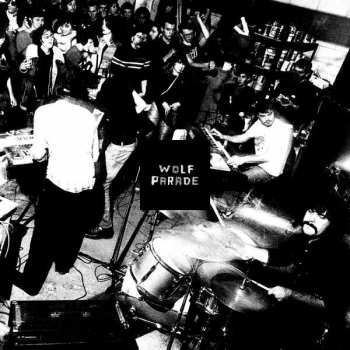 3LP Wolf Parade: Apologies to the Queen Mary DLX