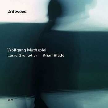 Album Brian Blade: Driftwood