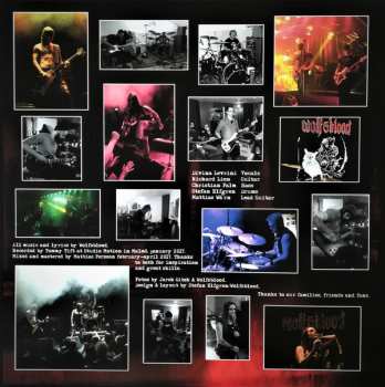LP Wolfsblood: Vomit & Lice LTD