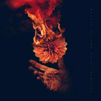 Wolves At The Gate: Eulogies