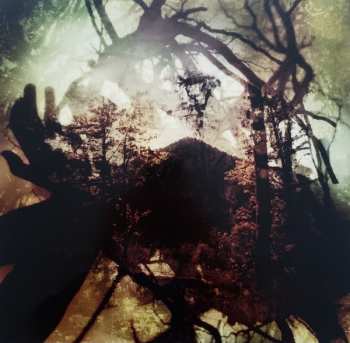 2LP Wolves In The Throne Room: Celestial Lineage