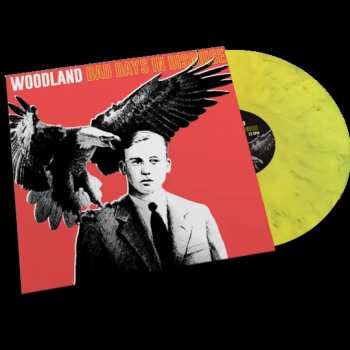LP/CD Woodland: Bad Days In Disguise LTD | CLR